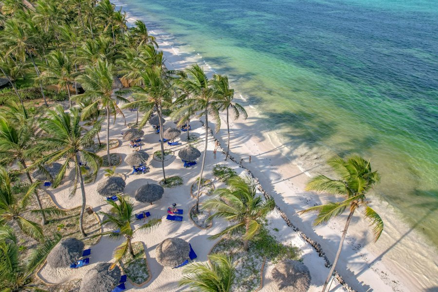 Palms and beach parasols along a white-sand shore seen from above