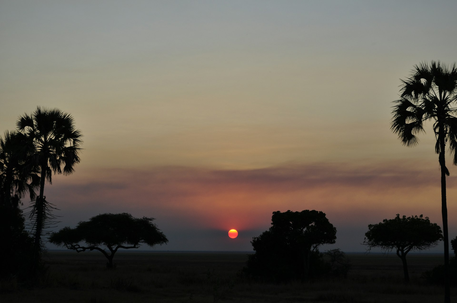 Sunset over palm-dotted plains in western Tanzania
