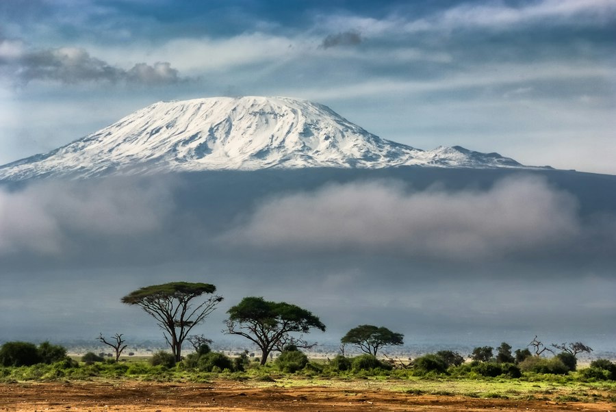 Snow-capped Mount Kilimanjaro above green forest