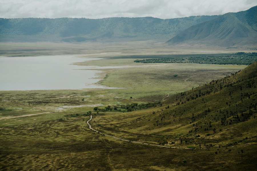 Grassland and lake on the floor of the Ngorongoro Crater
