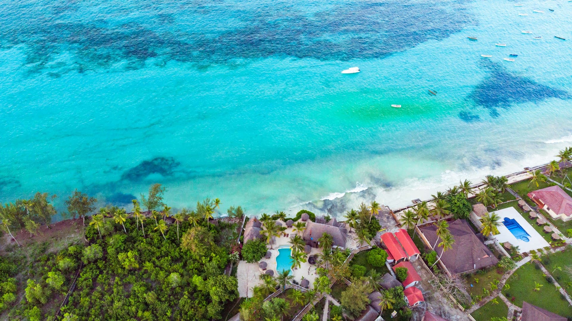 Aerial view of Zanzibar’s turquoise reef and palm-lined coast