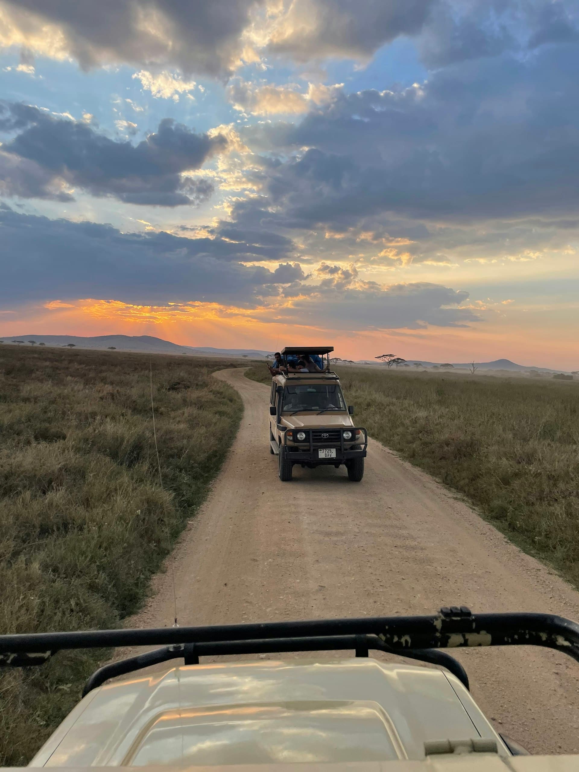 Safari vehicle on a dirt track across the plains at sunset