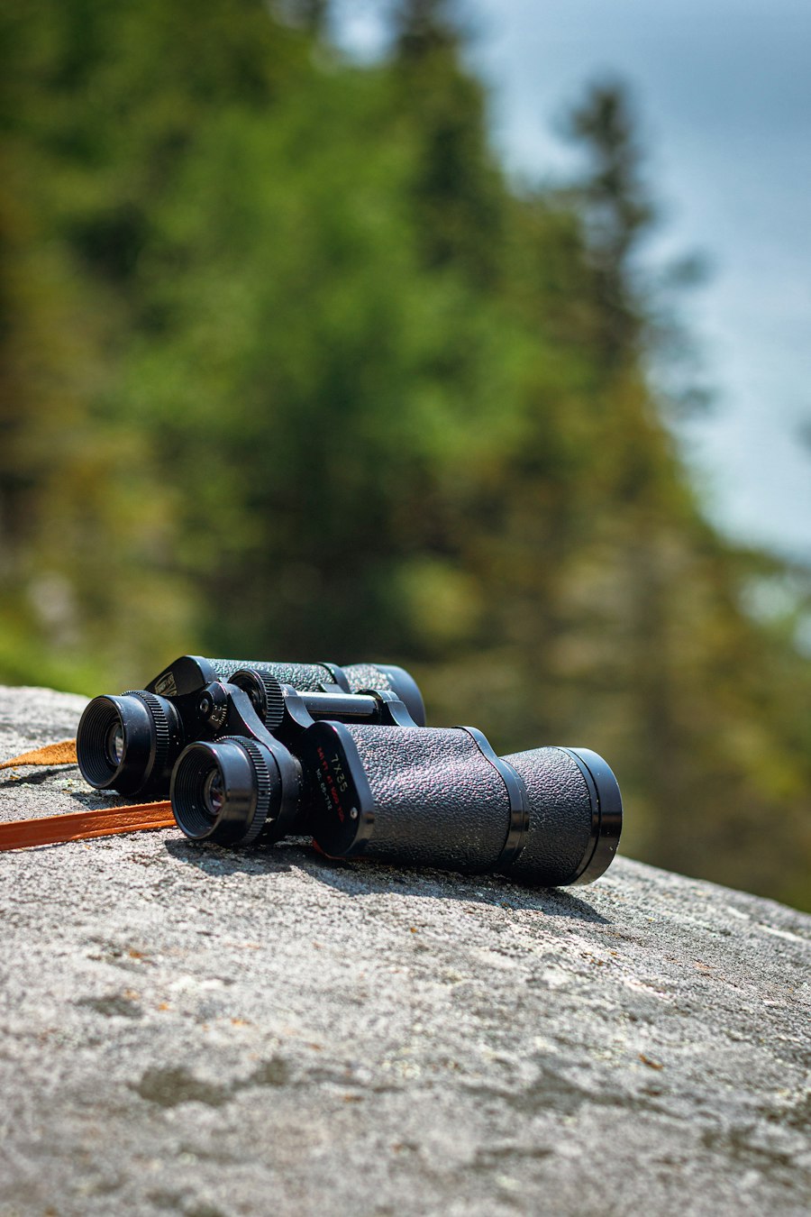 Binoculars resting on a sunlit rock