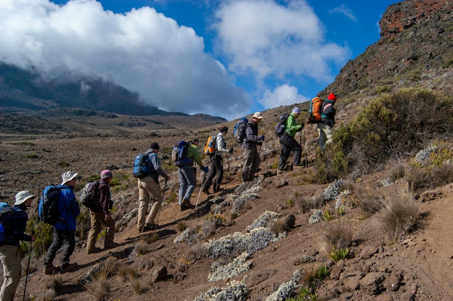 Trekkers with daypacks climbing a moorland trail