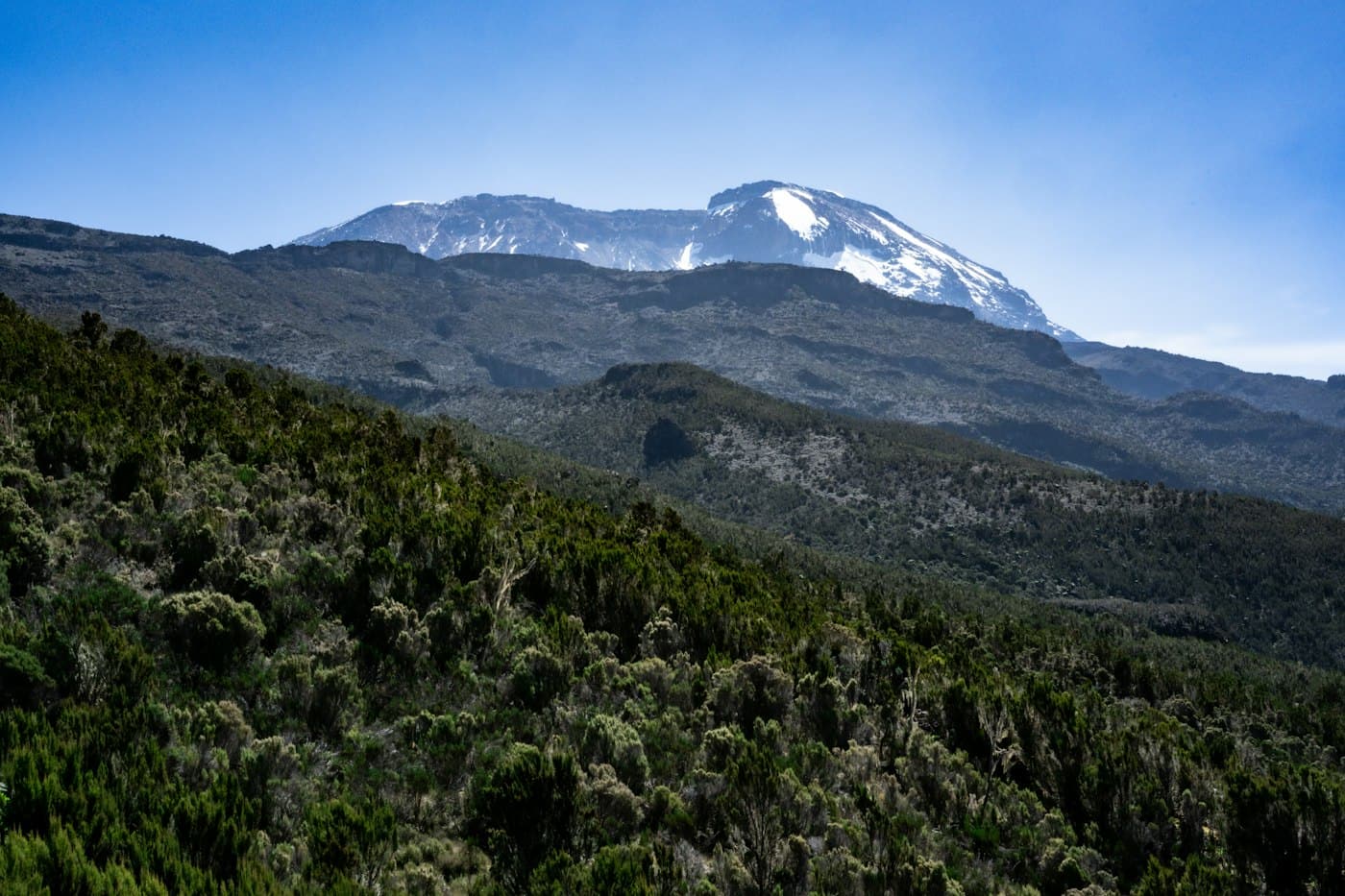 Kibo, Kilimanjaro’s summit cone, rising above the heath and moorland